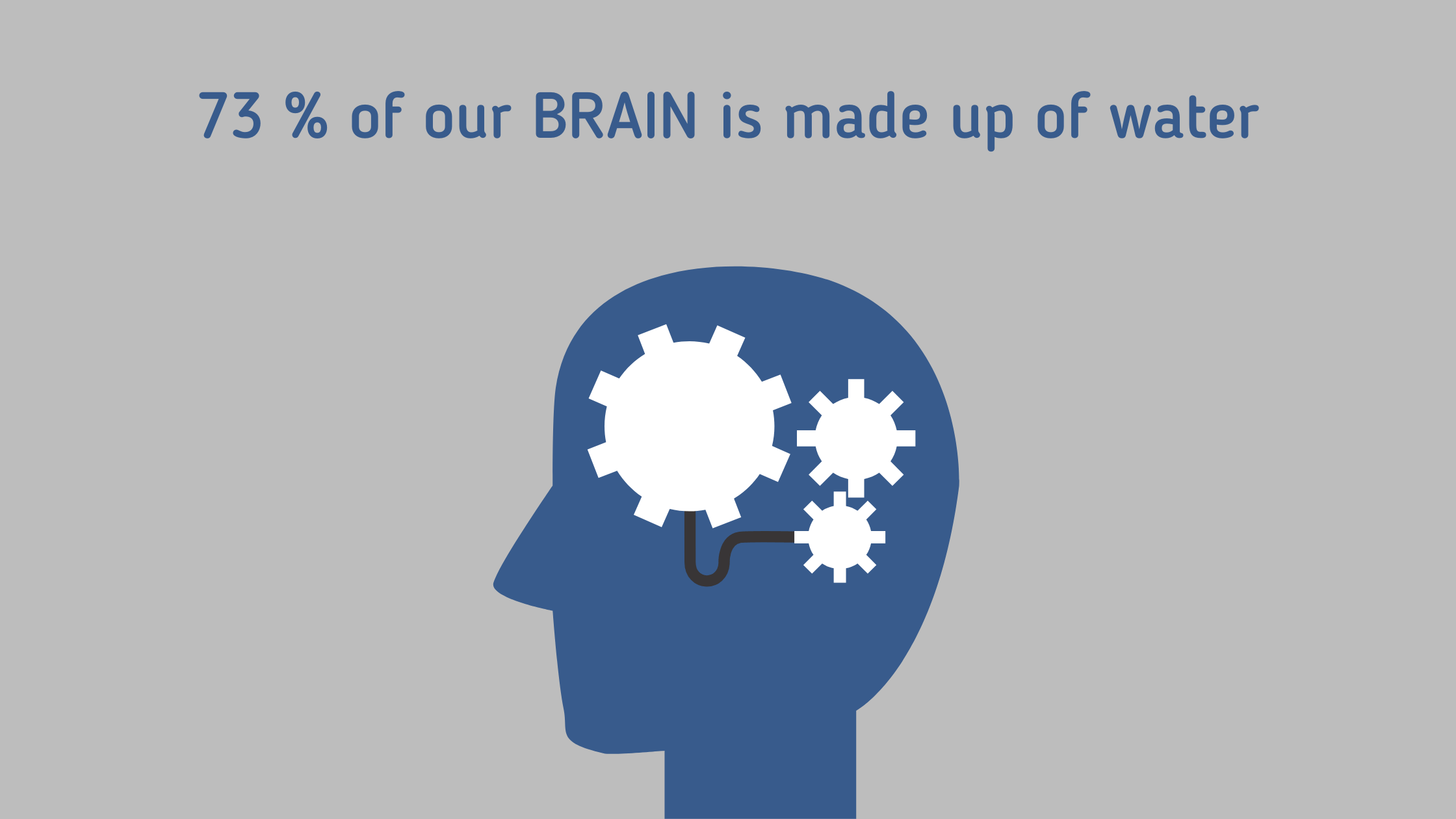 73% of our brain is made up of water