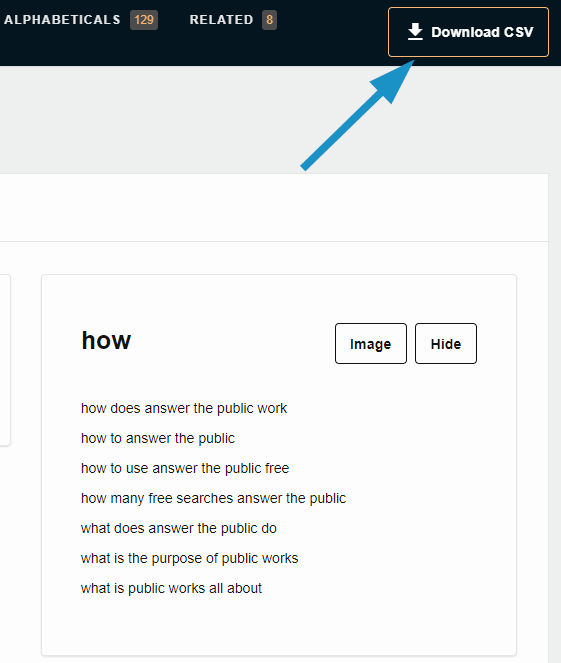 Answer the Public CSV export