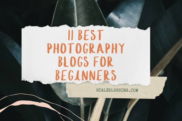 Best Photography Blogs for Beginners